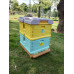 Luxury Double Layers Langstroth Insulation Plastic Beehive
