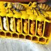 Large Bee Life Cycle Mold