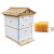 Beehive with 7 Frames Kit +US$135.00