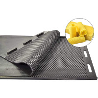 2 Pieces Kit Silicone Beeswax Foundation Sheet Press Mold